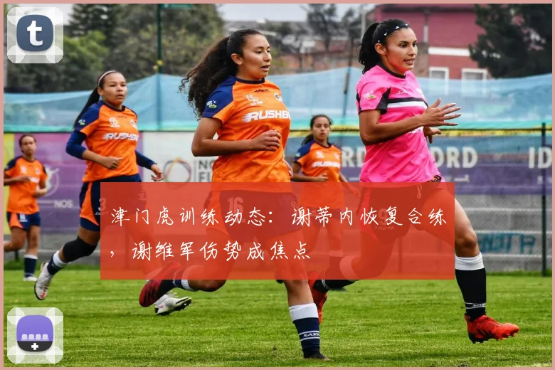 津门虎训练动态：谢蒂内恢复合练，谢维军伤势成焦点