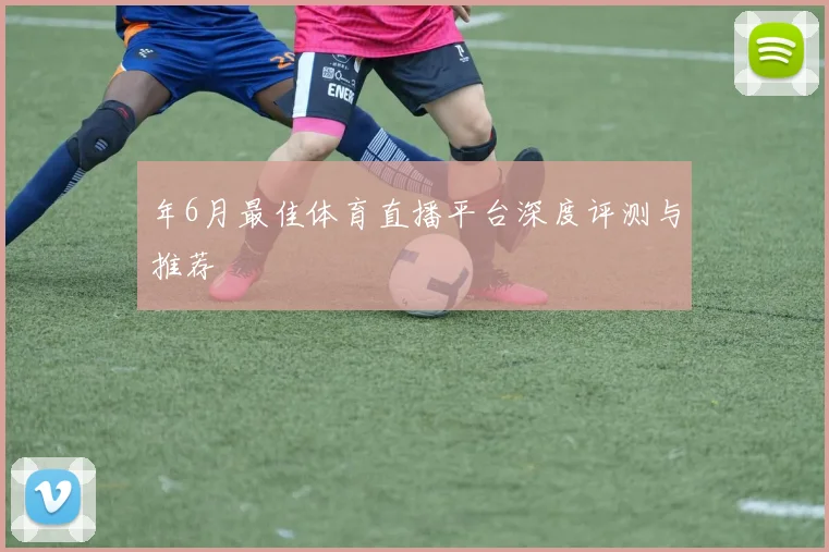 年6月最佳体育直播平台深度评测与推荐